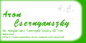 aron csernyanszky business card